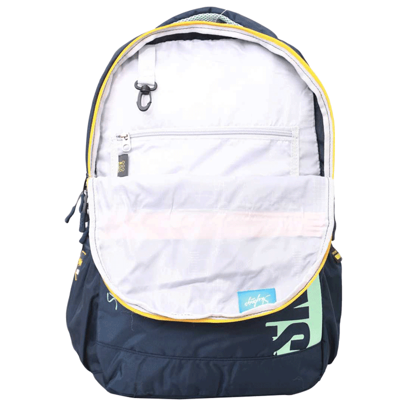 Skybags skater 1 online